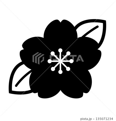 葉桜のアイコン_ベクターイラスト 葉桜のアイコン_ベクターイラスト 135071234