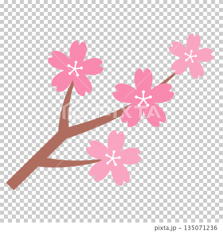 Cherry blossom branch icon_vector illustration 135071236