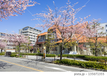 名古屋・東区・都市風景・街並み保存地区 文化のみち二葉館 川上貞奴邸と大寒桜 名古屋・東区・都市風景・街並み保存地区 文化のみち二葉館 川上貞奴邸と大寒桜 135071355