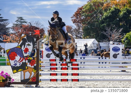 東京都世田谷区 馬事公苑 ジャパン ブリーディング 障害馬術 ホースショー 東京都世田谷区 馬事公苑 ジャパン ブリーディング 障害馬術 ホースショー 135071800