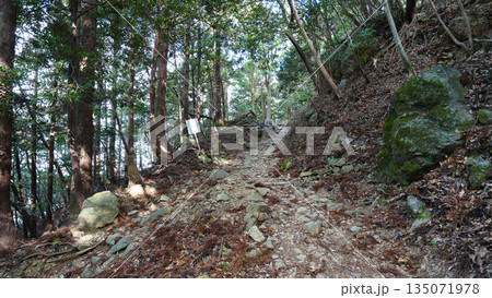 朝熊山 登山道 朝熊山 登山道 135071978