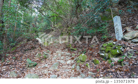 朝熊山 登山道 朝熊山 登山道 135071979