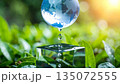 Crystal Globe on Green Grass with Sunlight 135072555