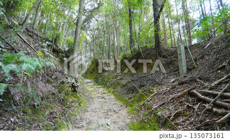 朝熊山 登山道 朝熊山 登山道 135073161