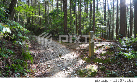 朝熊山 登山道 朝熊山 登山道 135073163