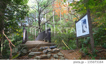 朝熊山 登山道 朝熊山 登山道 135073164