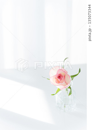 白いテーブルに飾った一輪のピンクのバラ（ガラス花瓶・窓辺の自然光・コピースペース・縦） 135073344