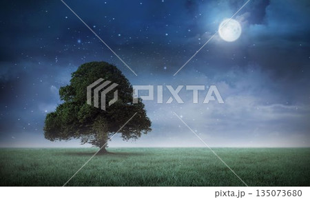 Solitary broad-leafed tree standing in flat design meadow under full moonlit starry sky with clouds Solitary broad-leafed tree standing in flat design meadow under full moonlit starry sky with clouds 135073680