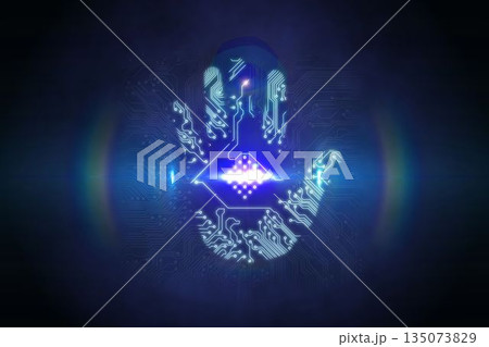 Digital security hand scan 135073829