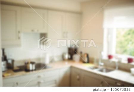 Interior of domestic kitchen 135073832