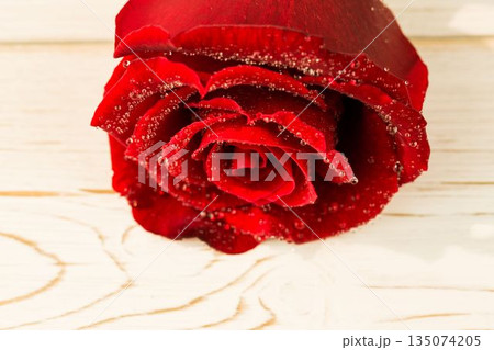 Red rose on wood with copy space Red rose on wood with copy space 135074205