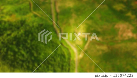 Panoramic view of green landscape 135074222