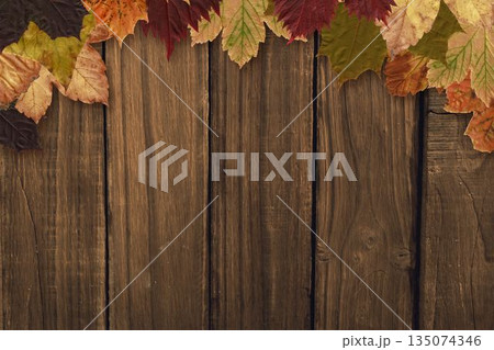 Flat design rustic wooden plank backdrop displaying colorful autumn leaves along top edge Flat design rustic wooden plank backdrop displaying colorful autumn leaves along top edge 135074346
