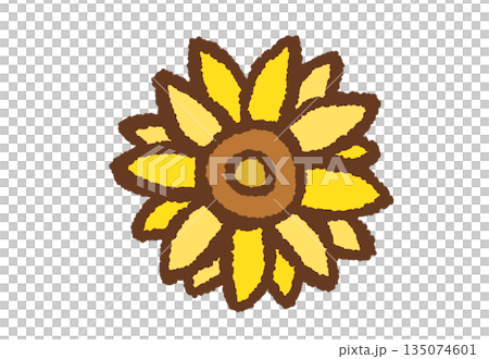 Flower Vector Flower Vector 135074601