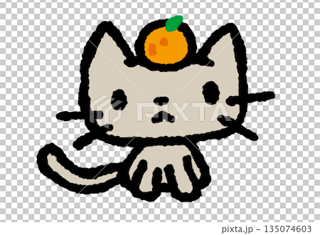貓咪橘子 135074603
