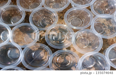 Empty Plastic Cups for Jelly and Agar-Agar Preparation Traditional Food Business Empty Plastic Cups for Jelly and Agar-Agar Preparation Traditional Food Business 135074648