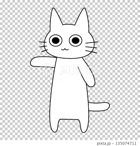 手を広げて案内や誘導をする可愛い白猫のイラスト 135074711