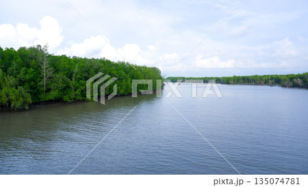 Wide River View with Dense Green Mangrove Forest Under Bright Cloudy Sky in Belinyu Bangka Wide River View with Dense Green Mangrove Forest Under Bright Cloudy Sky in Belinyu Bangka 135074781