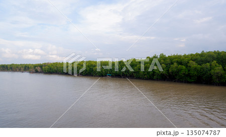 Dense Mangrove Forest Line Along the Bank of a Large Muddy River Dense Mangrove Forest Line Along the Bank of a Large Muddy River 135074787