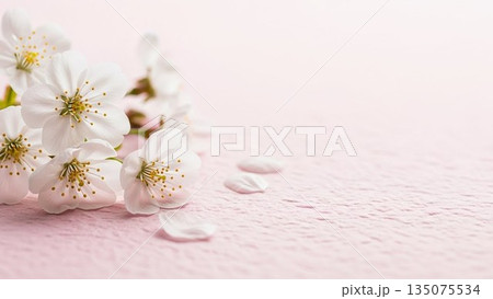 桜模様が広がるピンクの春背景イラスト 桜模様が広がるピンクの春背景イラスト 135075534