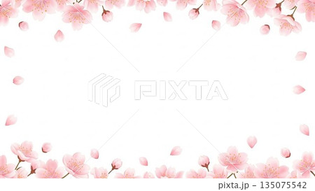 桜模様が広がるピンクの春背景イラスト 135075542