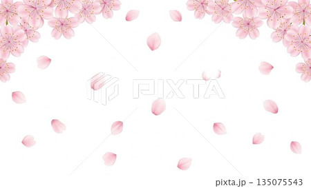 桜模様が広がるピンクの春背景イラスト 桜模様が広がるピンクの春背景イラスト 135075543
