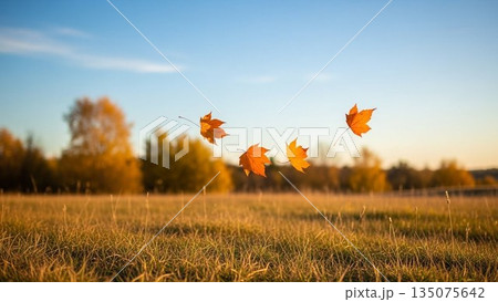 青空と白い雲が広がる草原の爽やかな春風景 135075642