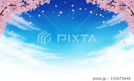 青空と白い雲が広がる草原の爽やかな春風景 135075646