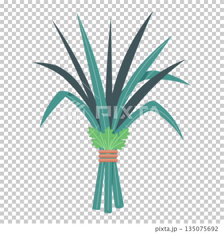 植物 工場 プランツ 135075692