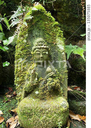 篠栗八十八ケ所霊場 一の滝寺 篠栗八十八ケ所霊場 一の滝寺 135075885