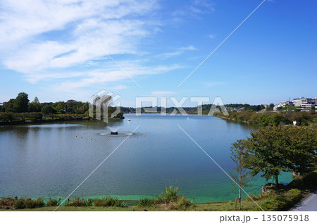 千波湖 千波大橋の上から見渡す 茨城県水戸市中央 千波湖 千波大橋の上から見渡す 茨城県水戸市中央 135075918