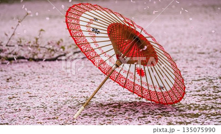 満開の桜の木イラスト 春の象徴的モチーフ 満開の桜の木イラスト 春の象徴的モチーフ 135075990