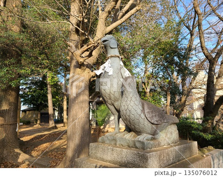 大谷場氷川神社のキジ 135076012