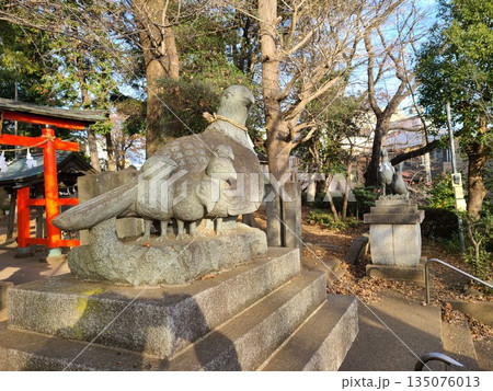 大谷場氷川神社のキジ 大谷場氷川神社のキジ 135076013