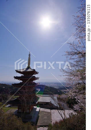 基山町 本福寺 桜満開の五重塔 基山町 本福寺 桜満開の五重塔 135076115