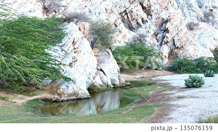 Rock Pool Nestled Among Limestone Cliffs, Shallow Green Water, Scattered Shrubs And Moss, Reflective Surface, Textured Boulder Formations, Secluded Canyon Trail Suitable For Geologist Survey Rock Pool Nestled Among Limestone Cliffs, Shallow Green Water, Scattered Shrubs And Moss, Reflective Surface, Textured Boulder Formations, Secluded Canyon Trail Suitable For Geologist Survey 135076159