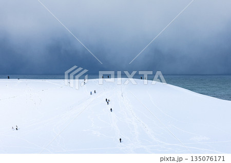 鈍色の空と雪が積もる冬の鳥取砂丘の風景 135076171