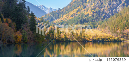 Scenery Jiuzhaigou national park in Sichuan, China. Beautiful of Panda Lake in Autumn season. Famous Landmark and Vacation near Chengdu, China. Asia travel concept 135076289