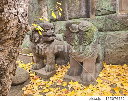 麻布氷川神社 麻布氷川神社 135076332