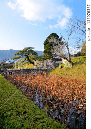 安芸城跡 追手門跡 安芸城跡 追手門跡 135076587