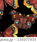 Peacock butterfly, Morning cloak or Nymphalis antiopa. Seamless watercolor pattern for printing on fabric, textiles, wrapping paper, bags, notebooks and notepads. Trend for spring/summer 2026 135077435