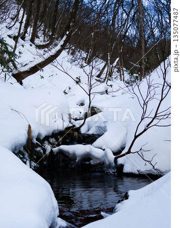 雪深い新潟・三国山の渓流 静寂に包まれた冬の山の風景 雪深い新潟・三国山の渓流 静寂に包まれた冬の山の風景 135077487