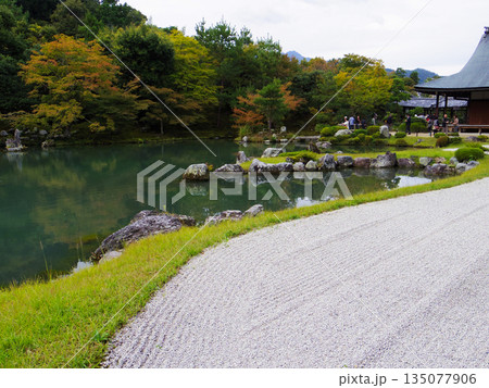 世界遺産・京都天龍寺の曹源池庭園：嵐山を借景とした美しい池泉回遊式庭園 135077906