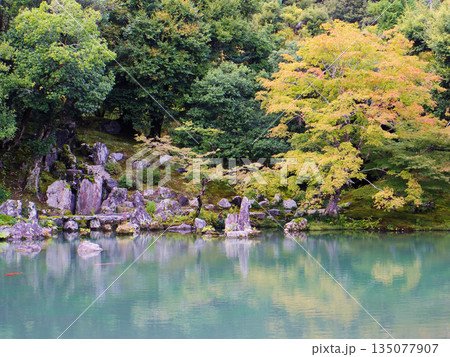 京都・天龍寺の曹源池庭園:池に映える石組みと初秋の木々 京都・天龍寺の曹源池庭園:池に映える石組みと初秋の木々 135077907