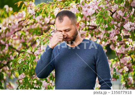 Man allergic suffering from seasonal allergy at spring in blossoming garden at springtime. Bearded young man sneezing and having runny nose in front of blooming tree. Spring allergy concept. 135077918
