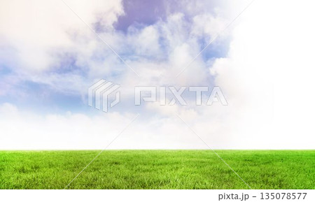 Blue sky over green field 135078577