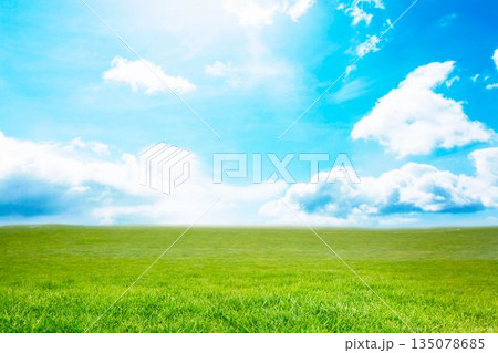 Blue sky over green field Blue sky over green field 135078685