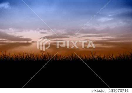 Displaying silhouetting tall grasses spanning width, showing layered clouds and gradient dawn sky Displaying silhouetting tall grasses spanning width, showing layered clouds and gradient dawn sky 135078711