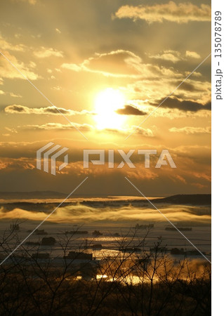 北海道の黄金色に染まる初日の出と気球 135078789