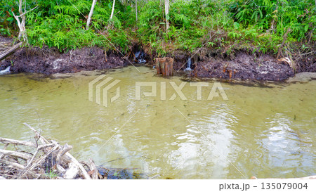 Small Waterfall Spring Flowing into Clear Tropical River with Sandy Bank Small Waterfall Spring Flowing into Clear Tropical River with Sandy Bank 135079004
